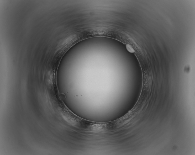 X0000096180126200801181320
