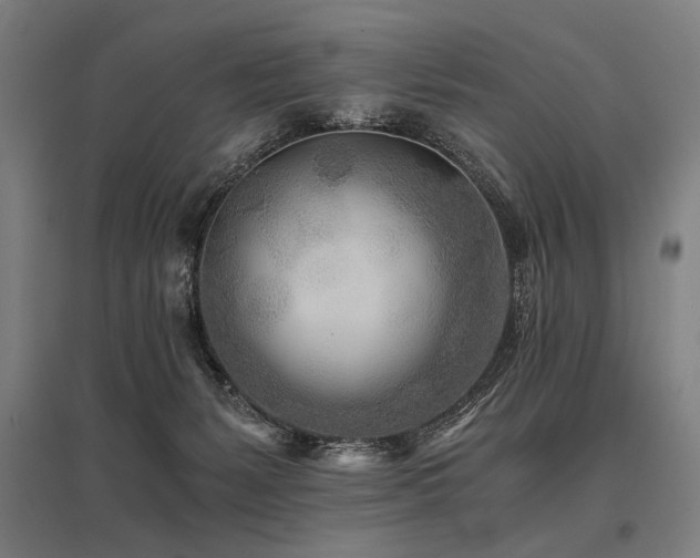 X0000096180127200801181320