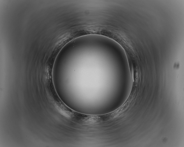 X0000096180128200801181320