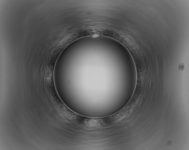 X0000096180129200801181320