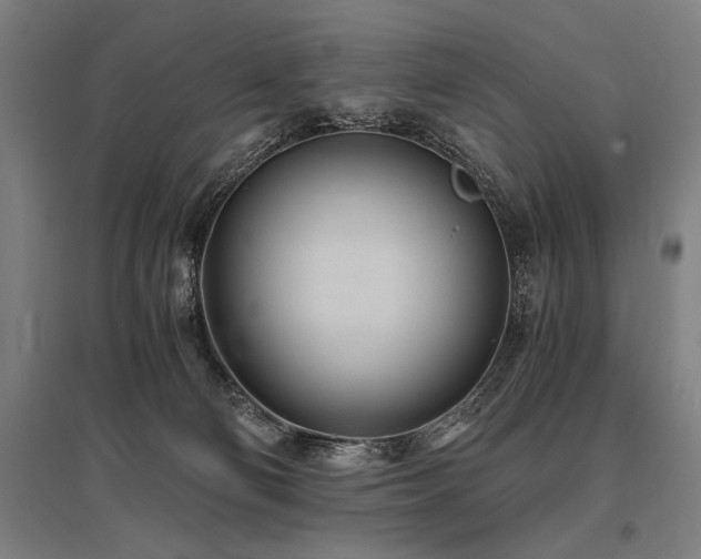 X0000096180130200801181320