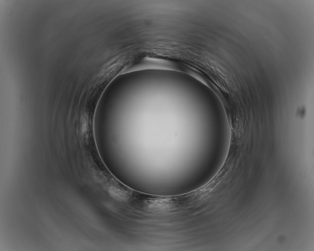 X0000096180132200801181320