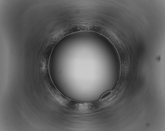 X0000096180134200801181320