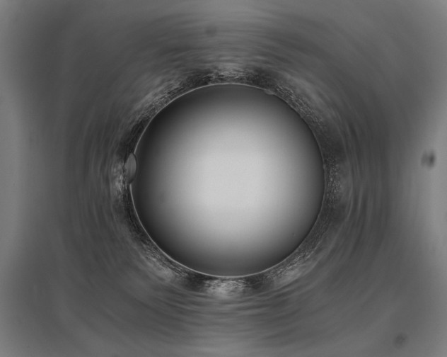 X0000096180135200801181320