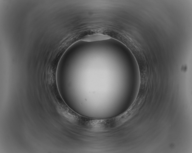 X0000096180136200801181320