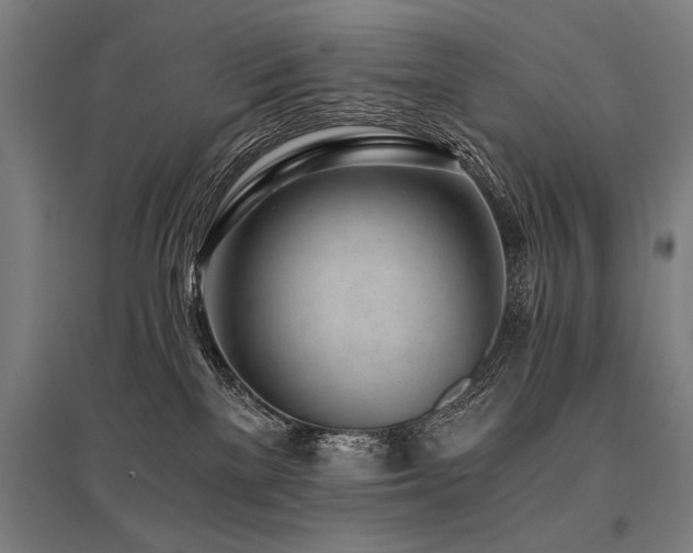 X0000096180137200801181320