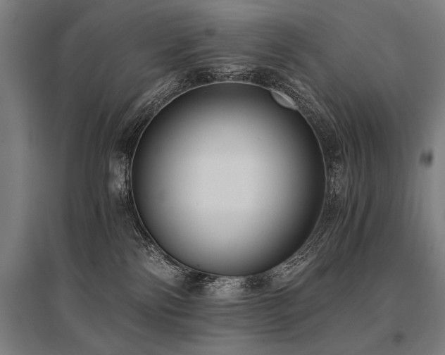 X0000096180138200801181320