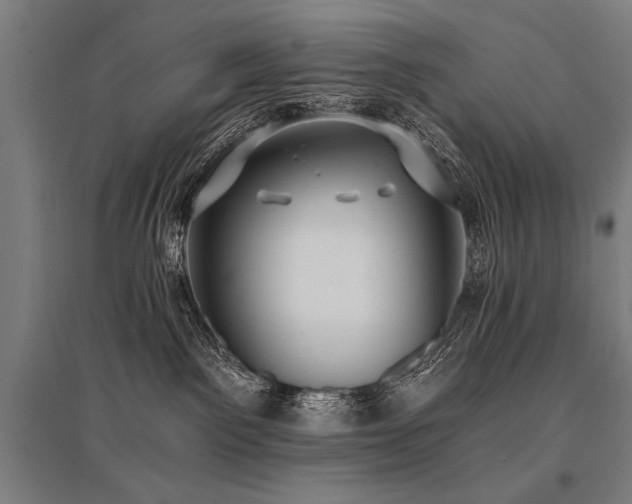 X0000096180141200801181320
