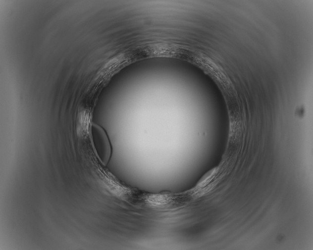 X0000096180142200801181320