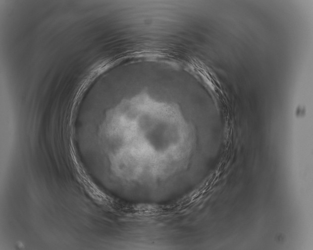 X0000096180145200801181320