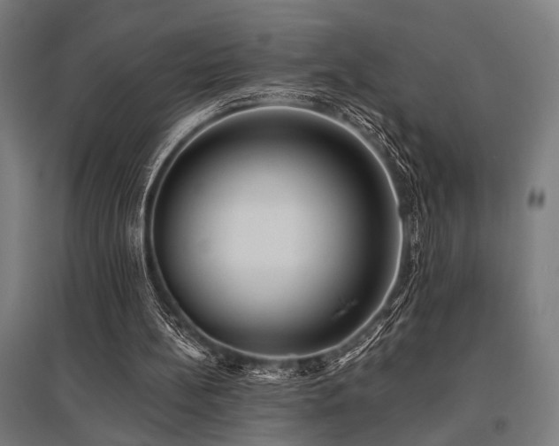 X0000096180148200801181320