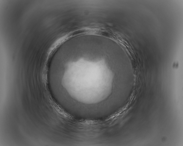 X0000096180149200801181320