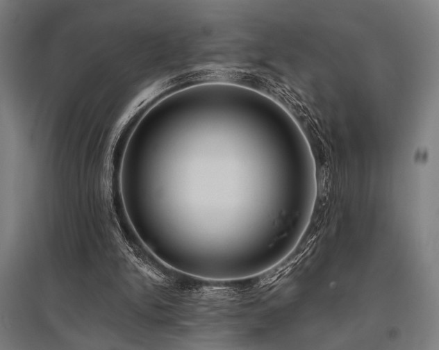 X0000096180150200801181320