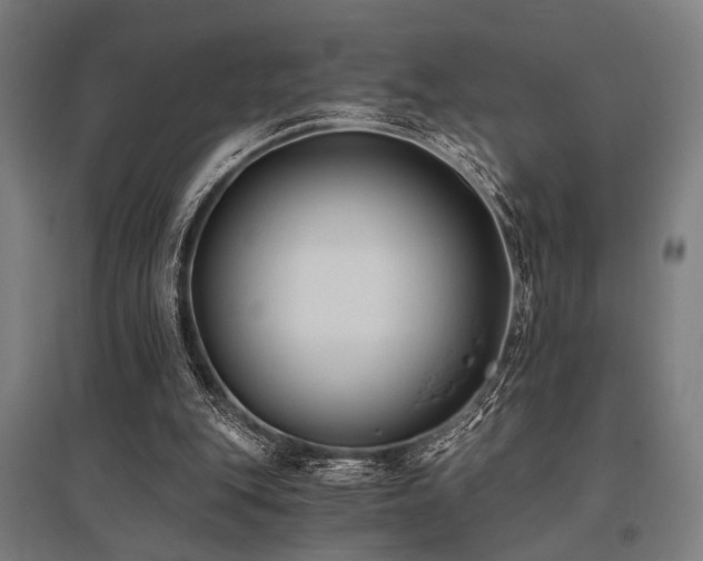 X0000096180151200801181320