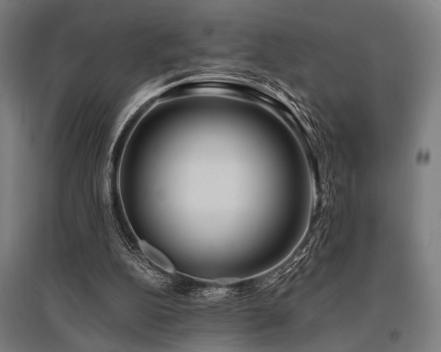X0000096180152200801181320
