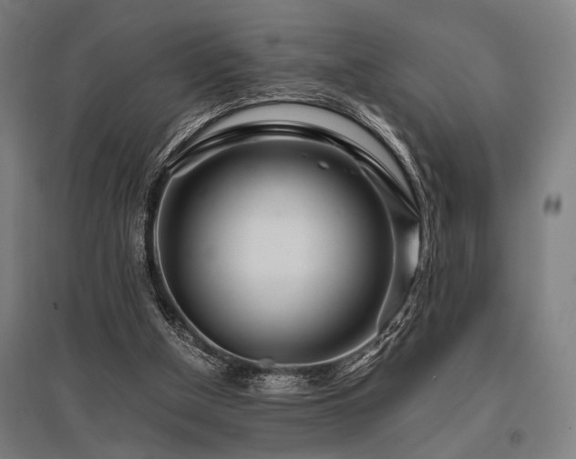 X0000096180154200801181320