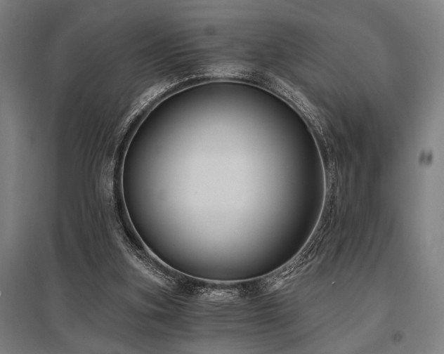 X0000096180155200801181320