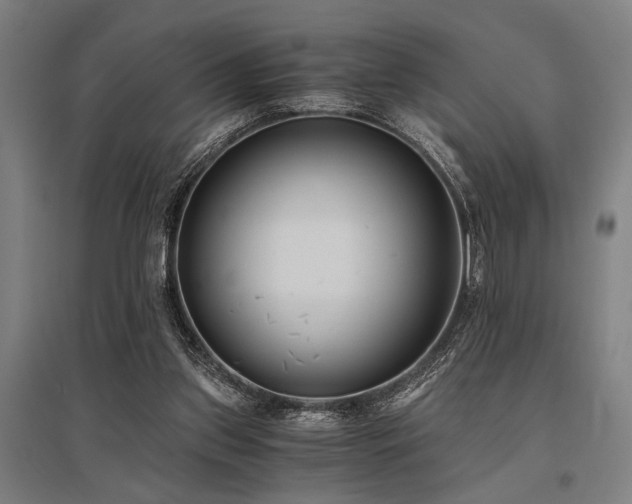 X0000096180157200801181320