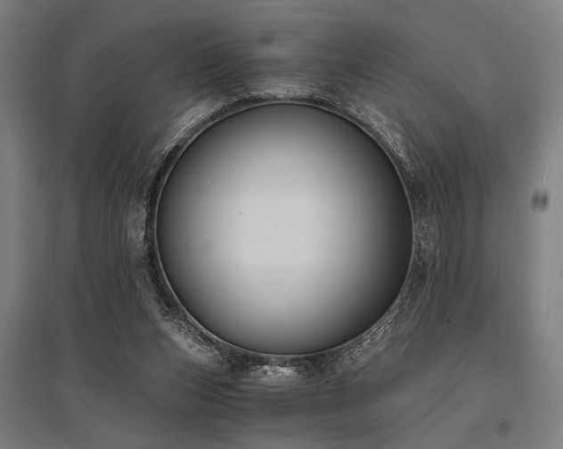 X0000096180159200801181320