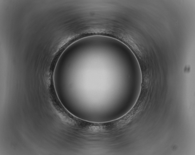 X0000096180160200801181320