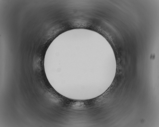 X0000096180162200801181320