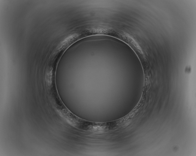X0000096180163200801181320