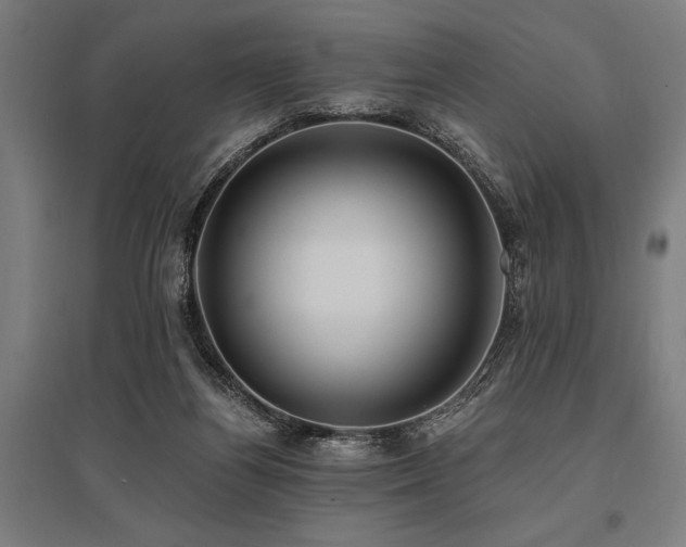 X0000096180164200801181320