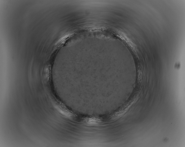 X0000096180165200801181320