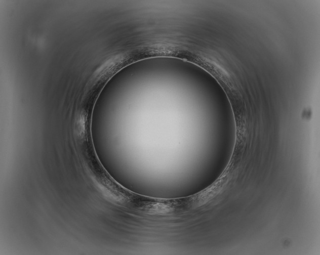 X0000096180166200801181320