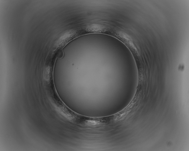X0000096180167200801181320