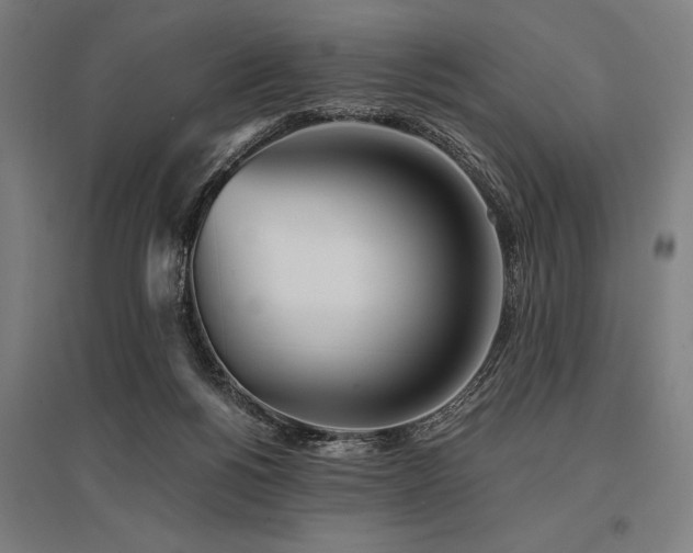 X0000096180168200801181320