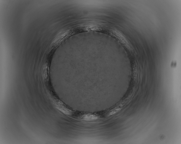 X0000096180169200801181320
