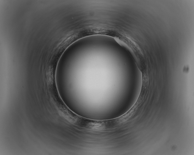 X0000096180170200801181320