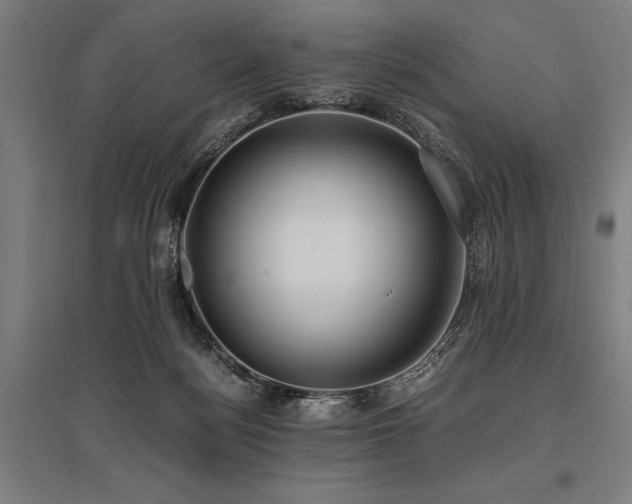 X0000096180172200801181320