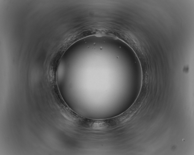 X0000096180173200801181320