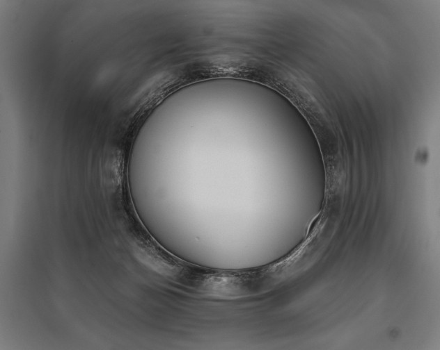 X0000096180174200801181320