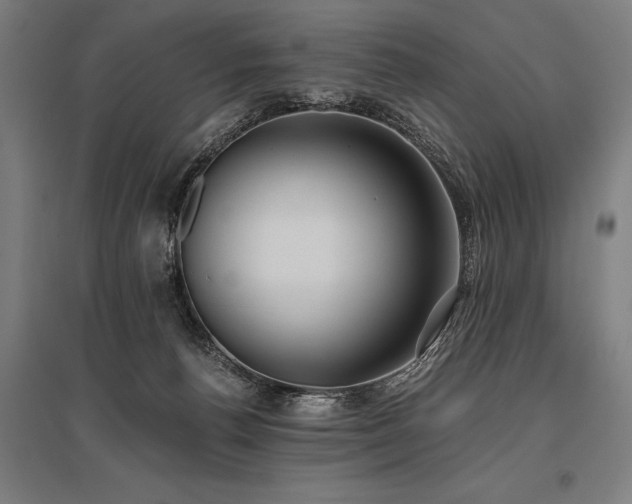 X0000096180176200801181320