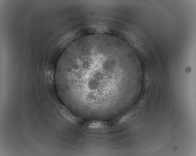 X0000096180177200801181320