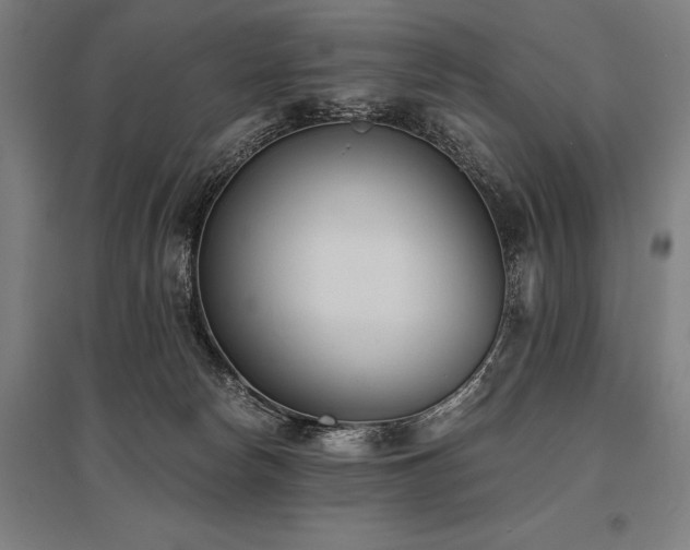 X0000096180178200801181320
