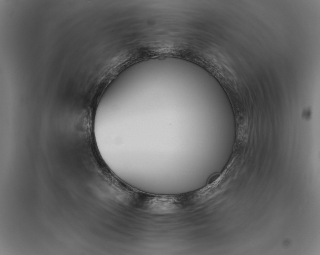X0000096180179200801181320