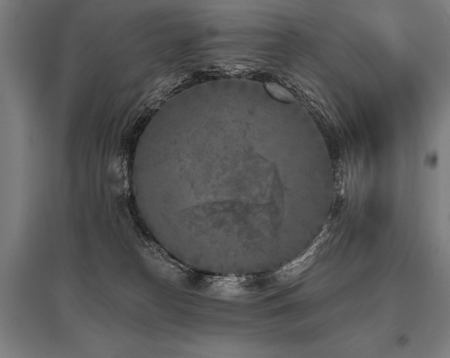 X0000096180182200801181320