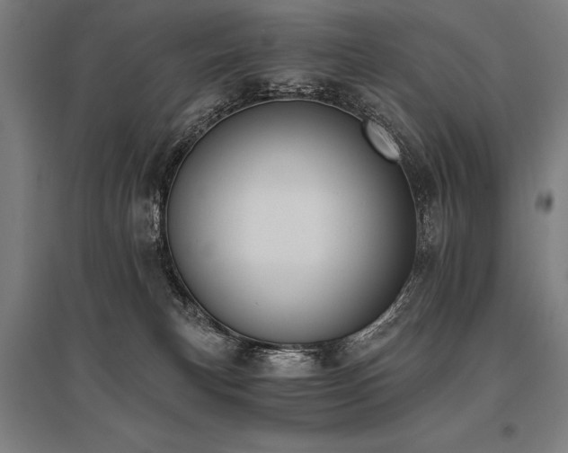 X0000096180183200801181320