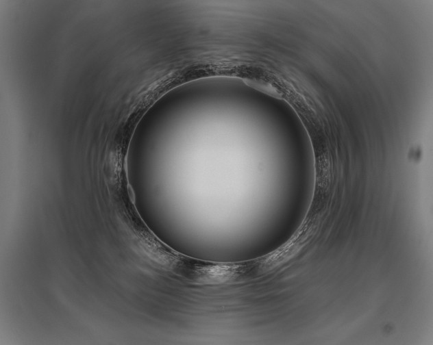 X0000096180184200801181320