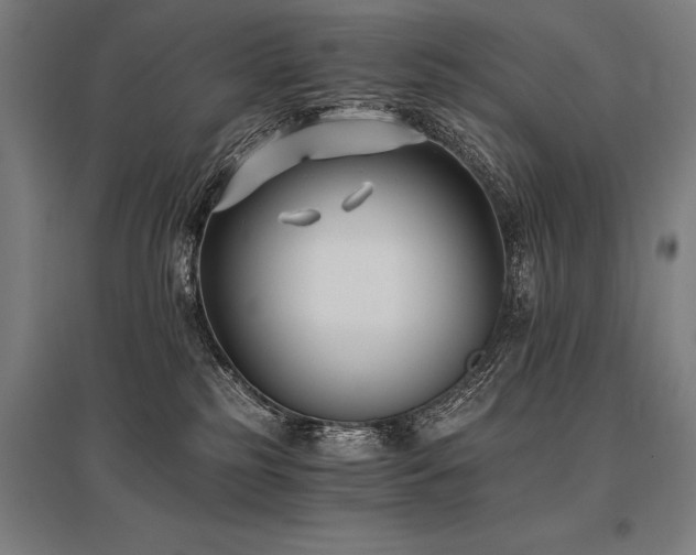 X0000096180185200801181320