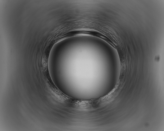 X0000096180186200801181320