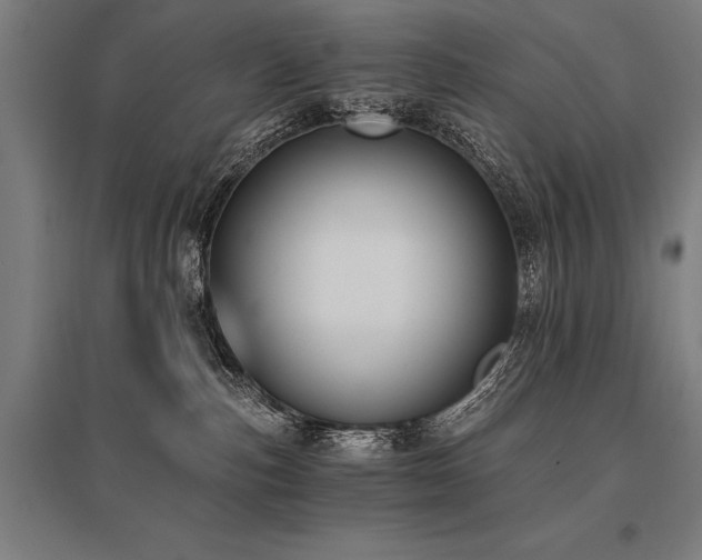 X0000096180187200801181320