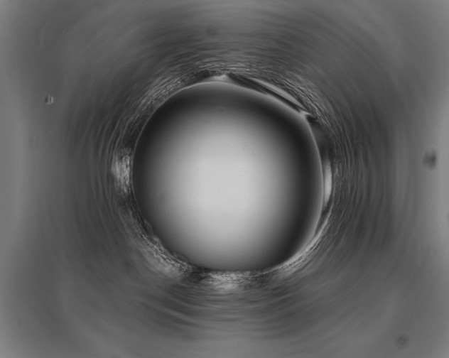 X0000096180190200801181320