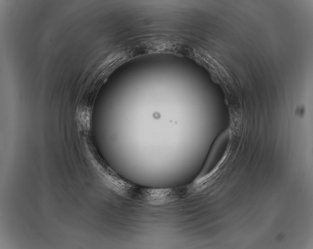 X0000096180191200801181320