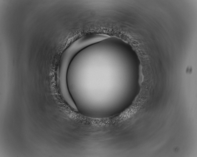X0000096180192200801181320