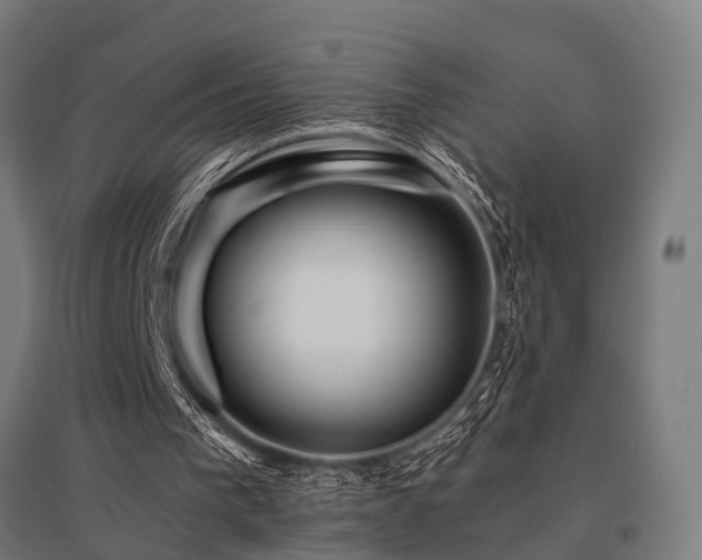 X0000096180193200801181320